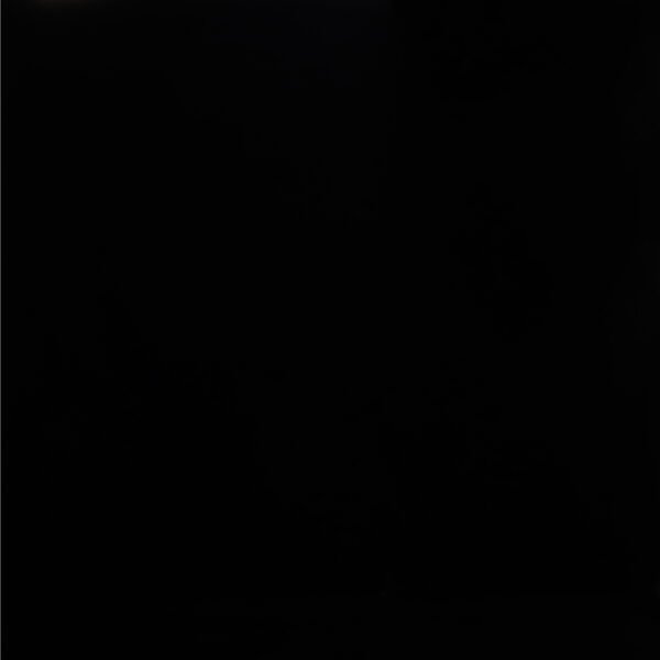 Black Shadow